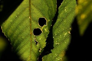 08eb4573-dsc09028_cr.jpg