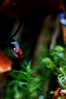 09842365-dsc04553_cr1_a.jpg