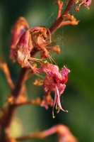 126d14fb-a_dsc07253_cr.jpg