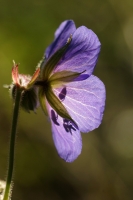 16892ad0-b_dsc05717_cr2.jpg