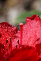 24754f91-a_dsc05872_cr2.jpg