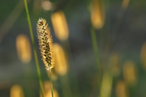 44b9a0ab-b_dsc07718_cr.jpg