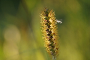 580b6a5a-b_dsc07675_cr.jpg