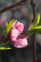 5c8e4b9f-dsc07376_ed.jpg