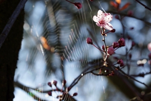 6372393e-dsc08943_cr.jpg