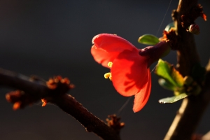 688b7d7d-dsc06580_cr2.jpg