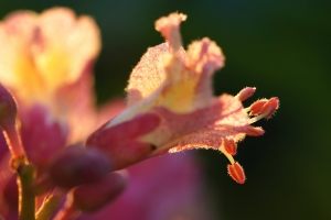 6b6e2768-a_dsc06301_cr.jpg