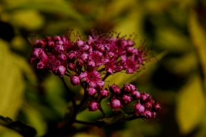 7b1c4ca8-dsc02676_cr.jpg