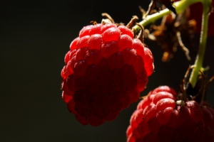 88c7ce75-170716_dsc02455_cr.jpg