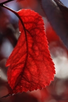 8f4c5939-a_dsc08423_cr.jpg