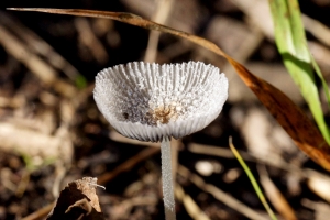 9134f9b0-dsc03640_cr.jpg