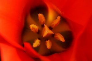 9cd7f4c0-170409_dsc03506_or.jpg