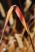 a27e463e-dsc08315.jpg
