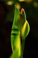 c525937d-dsc07664_ed.jpg