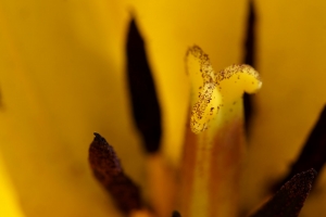 cc36d47f-170409_dsc03840_or.jpg