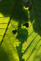 d5e5c9ad-160511_dsc04246_cr_a.jpg