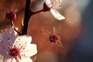 d8ea7663-a_dsc02259_cr.jpg