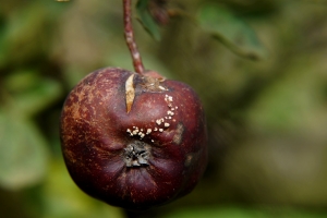 eba507ce-dsc03378_cr2.jpg
