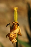 fee6b3ab-a_dsc04275_cr2_cr.jpg
